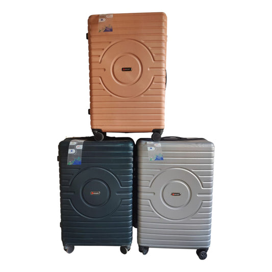 Delsey|Effortless Journeys: The Silver Hardshell Spinner Suitcase